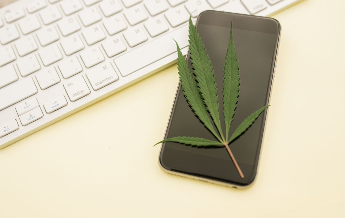 Order cannabis online at Elevation Nevada City. Browse live menus, skip the wait, and pick up at your convenience.